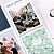 Softcover photo book designs Softcover photo book designs
