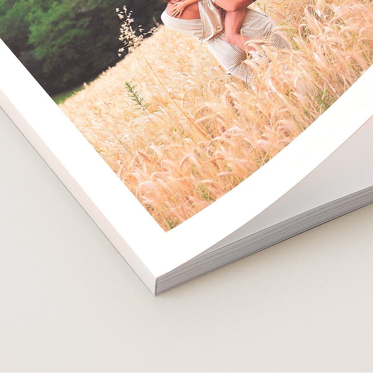 Photographers' Sample Book and Album Ideas - Printique, An Adorama Company