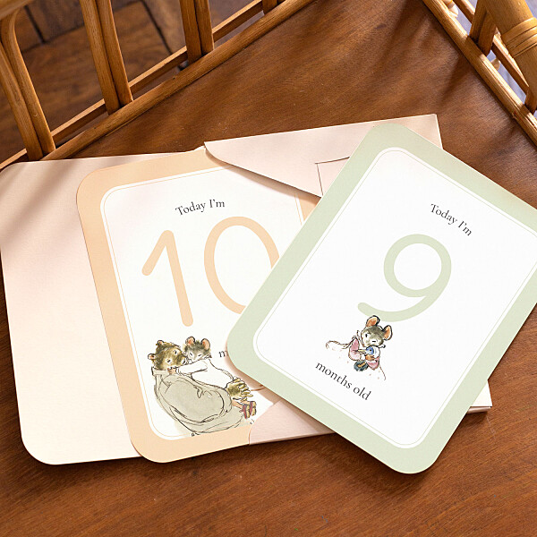 '© Ernest & Célestine' Baby Milestone Cards - Vue 6
