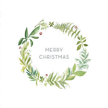 Forest whisper green christmas cards Forest whisper green christmas cards