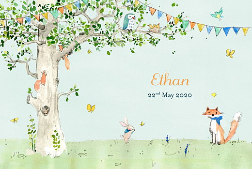 Baby Announcements Woodland storybook photo blue - Page 1