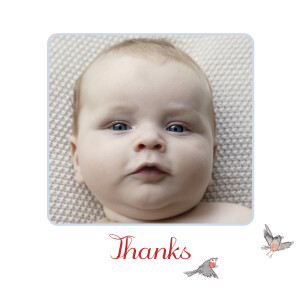 Baby Thank You Cards Winter Storybook Blue