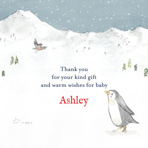 Baby Thank You Cards Arctic Storybook Blue