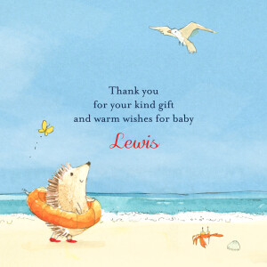 Baby Thank You Cards Summer Storybook Blue