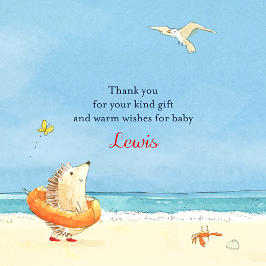 Baby Thank You Cards Summer Storybook Blue - Front