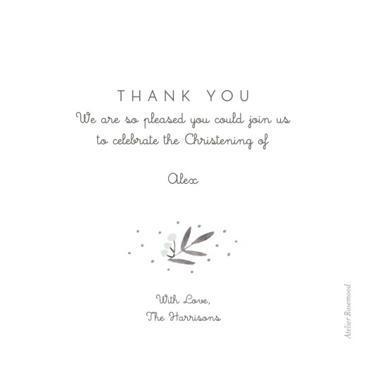 Baby Thank You Cards Jubilation Green - Back Baby Thank You Cards Jubilation Green - Back