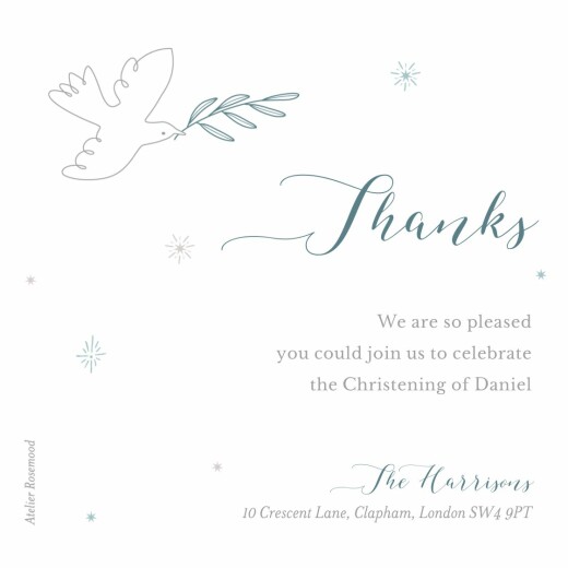 Baby Thank You Cards Delicate Dove Blue - Front