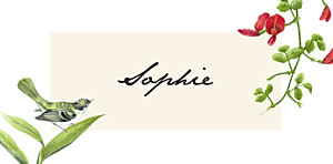 Flora & fauna white place cards Flora & fauna white place cards