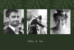 Wedding Thank You Cards Forever ferns (4 pages) green - Page 1 Wedding Thank You Cards Forever ferns (4 pages) green - Page 1