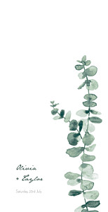 Eucalyptus white wedding menus Eucalyptus white wedding menus