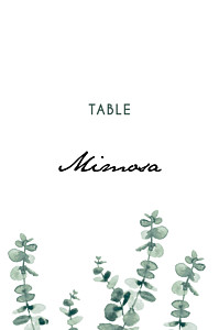 Eucalyptus white table numbers Eucalyptus white table numbers