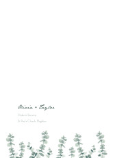 Wedding Order of Service Booklet Covers Eucalyptus White Wedding Order of Service Booklet Covers Eucalyptus White