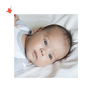 Bear family white petite alma baby thank you cards Bear family white petite alma baby thank you cards