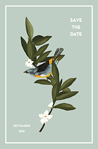 The botanist blue unique save the date cards The botanist blue unique save the date cards