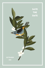 Save The Dates The Botanist Blue