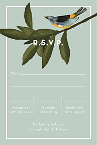 The botanist (portrait) blue rsvp cards The botanist (portrait) blue rsvp cards