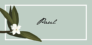 Bahia blue place cards Bahia blue place cards