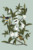 Wedding Invitations The botanist blue - Page 1 Wedding Invitations The botanist blue - Page 1