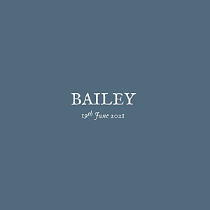 Baby's breath (foil) blue girls baby announcements Baby's breath (foil) blue girls baby announcements