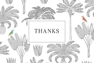 Birds of paradise white mr & mrs clynk baby thank you cards Birds of paradise white mr & mrs clynk baby thank you cards