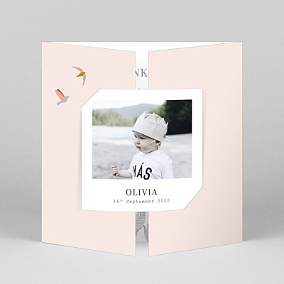 Birds of paradise pink mr & mrs clynk baby thank you cards Birds of paradise pink mr & mrs clynk baby thank you cards