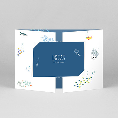Once upon a time (landscape gatefold) ocean blue baby thank you cards Once upon a time (landscape gatefold) ocean blue baby thank you cards