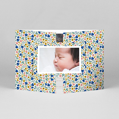 Seasonal blossoms gatefold landscape spring blue baby thank you cards Seasonal blossoms gatefold landscape spring blue baby thank you cards
