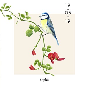 Flora & fauna blue tit floral baby thank you cards Flora & fauna blue tit floral baby thank you cards