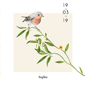 Flora and fauna robin orange baby thank you cards Flora and fauna robin orange baby thank you cards