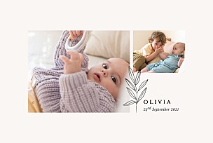 Budding branch beige girls baby announcements Budding branch beige girls baby announcements