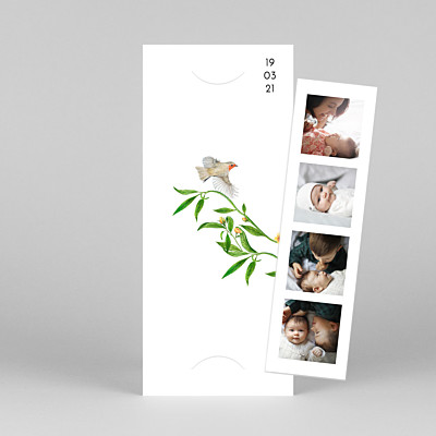 Flora & fauna (gatefold) white bookmark baby thank you cards Flora & fauna (gatefold) white bookmark baby thank you cards