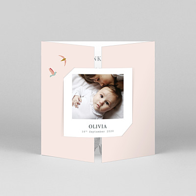 Birds of paradise pink boys baby thank you cards Birds of paradise pink boys baby thank you cards