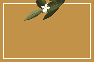 The botanist orange notecards The botanist orange notecards