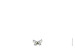 Notecards Flora & fauna white - Page 2 Notecards Flora & fauna white - Page 2