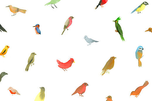 Notecards Bird Watching White - Front Notecards Bird Watching White - Front