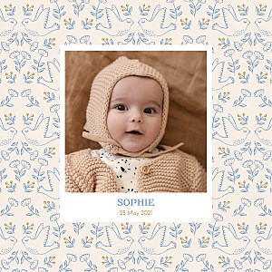 Soaring blue boys baby announcements Soaring blue boys baby announcements