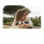 Wedding Thank You Cards Simple photo (foil) white - Page 1 Wedding Thank You Cards Simple photo (foil) white - Page 1