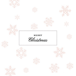 Morning snow fall pink pink christmas cards Morning snow fall pink pink christmas cards