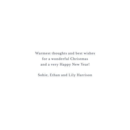Christmas Cards 2022 Polar Bears Blue - Page 3 Christmas Cards 2022 Polar Bears Blue - Page 3