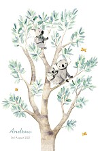Baby Announcements Koala Family of 3 White