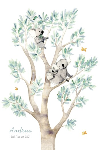 Baby Announcements Koala Family of 3 White - Front Baby Announcements Koala Family of 3 White - Front