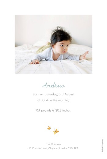 Baby Announcements Koala Family of 3 White - Back Baby Announcements Koala Family of 3 White - Back