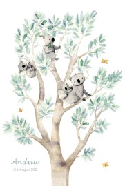 Baby Announcements Koala Family of 4 White