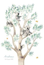 Baby Announcements Koala Family of 5 White