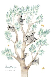 Baby Announcements Koala Family of 6 White