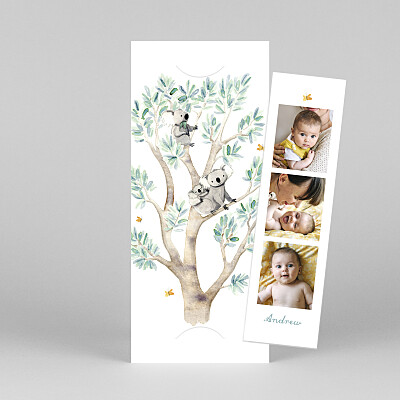 Koala family of 3 (bookmark) white petite alma baby thank you cards Koala family of 3 (bookmark) white petite alma baby thank you cards
