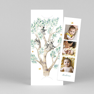 Koala family of 4 (bookmark) white petite alma baby thank you cards Koala family of 4 (bookmark) white petite alma baby thank you cards