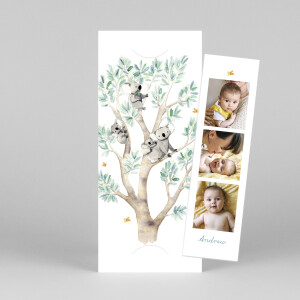 Baby Thank You Cards Koala Family of 4 (Bookmark) White