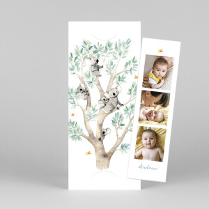 Baby Thank You Cards Koala family of 5 (bookmark) white Baby Thank You Cards Koala family of 5 (bookmark) white