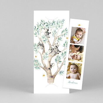 Koala family of 5 (bookmark) white baby thank you cards Koala family of 5 (bookmark) white baby thank you cards